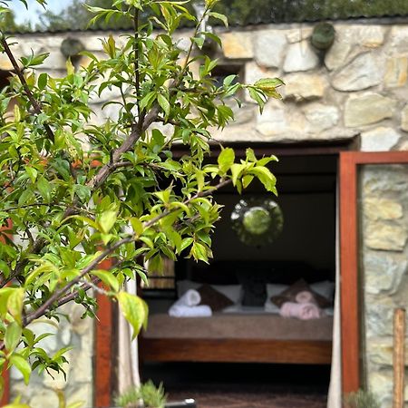 Stormsriver Backpackers Dijembe Stormsrivier Exterior foto