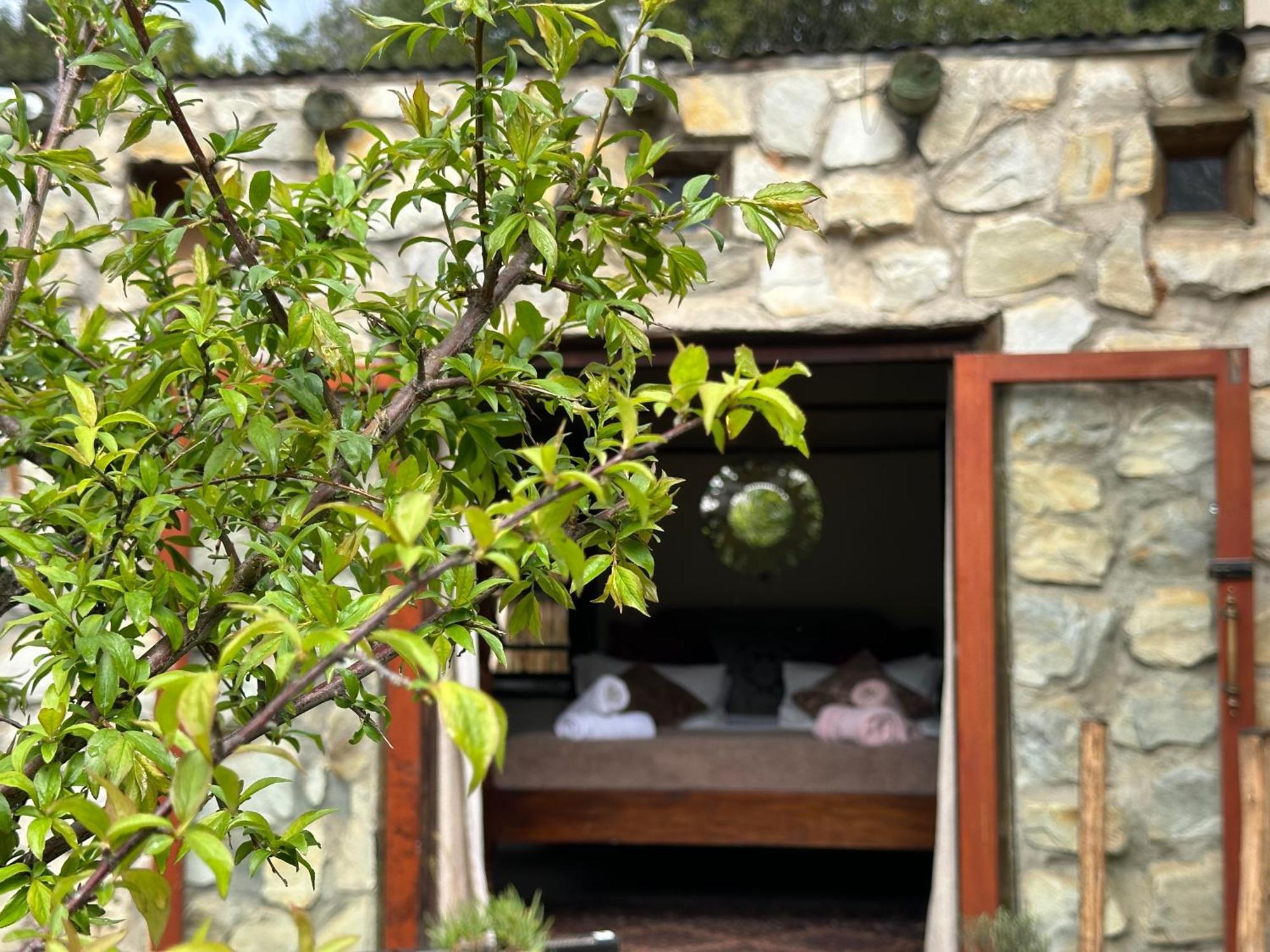 Stormsriver Backpackers Dijembe Stormsrivier Exterior foto