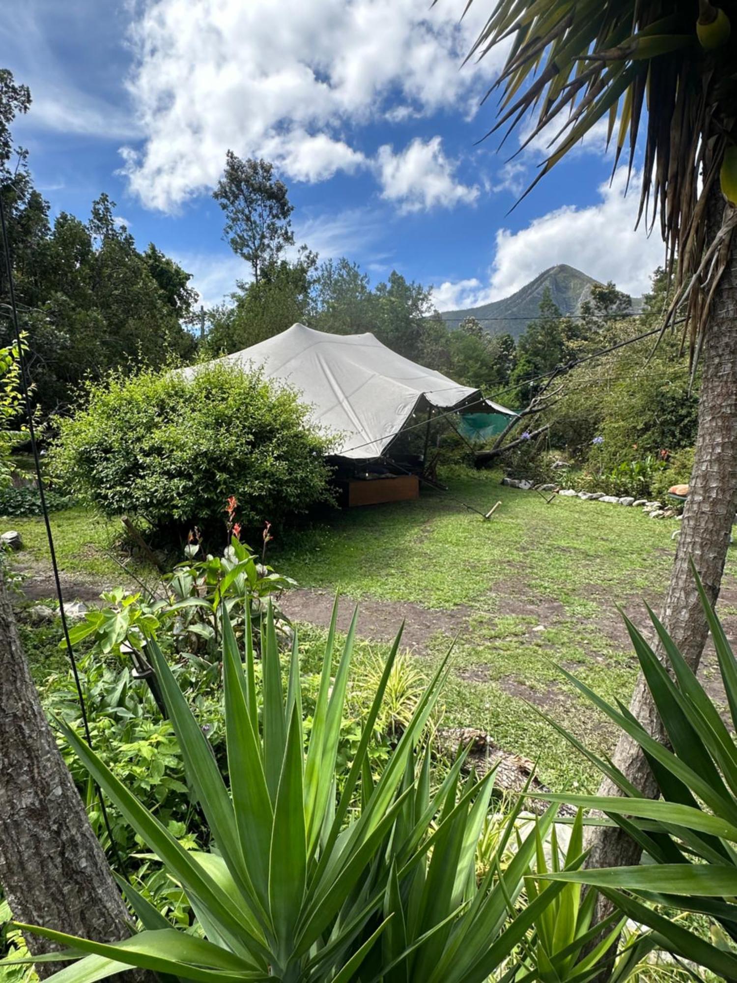 Stormsriver Backpackers Dijembe Stormsrivier Exterior foto